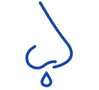 icon SnifQ